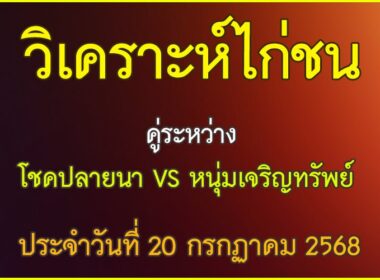 วิเคราะห์ไก่ชน คู่ระหว่าง โชคปลายนา VS หนุ่มเจริญทรัพย์ ประจำวันที่ 20 กรกฎาคม 2568