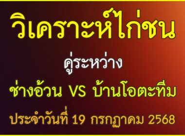 วิเคราะห์ไก่ชน คู่ระหว่าง ช่างอ้วน VS บ้านโอตะทีม ประจำวันที่ 19 กรกฎาคม 2568