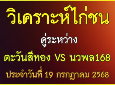 วิเคราะห์ไก่ชน คู่ระหว่าง ตะวันสีทอง VS นวพล168 ประจำวันที่ 19 กรกฎาคม 2568