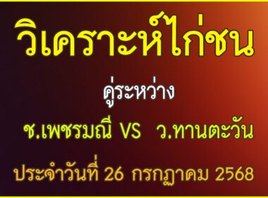 วิเคราะห์ไก่ชน คู่ระหว่าง ช.เพชรมณี VS ว.ทานตะวัน ประจำวันที่ 26 กรกฎาคม 2568