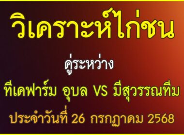 วิเคราะห์ไก่ชน คู่ระหว่าง TK ฟาร์ม อุบล VS มีสุวรรณทีม ประจำวันที่ 26 กรกฎาคม 2568