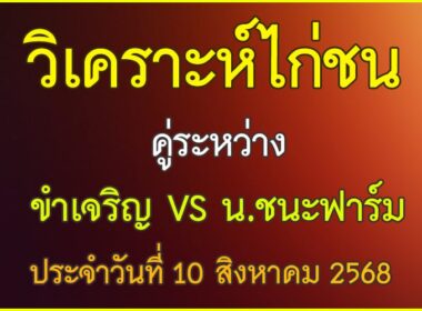 วิเคราะห์ไก่ชน คู่ระหว่าง ขำเจริญ VS น.ชนะฟาร์ม ประจำวันที่ 10 สิงหาคม 2568