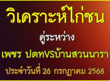 วิเคราะห์ไก่ชน คู่ระหว่าง เพชร ปตท VS บ้านสวนนารา ประจำวันที่ 26 กรกฎาคม 2568