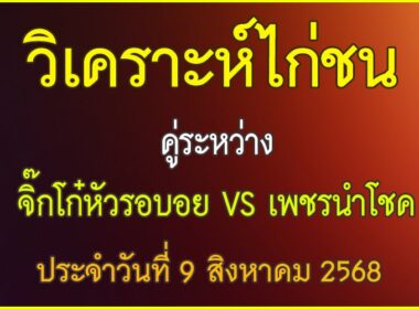 วิเคราะห์ไก่ชน คู่ระหว่าง จิ๊กโก๋หัวรอบอย VS เพชรนำโชค ประจำวันที่ 9 สิงหาคม 2568
