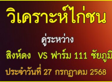 วิเคราะห์ไก่ชน คู่ระหว่าง สิงห์ดง VS ฟาร์ม 111 ชัยภูมิ ประจำวันที่ 27 กรกฎาคม 2568
