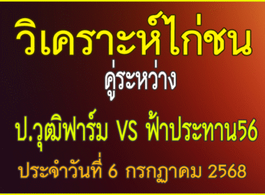 วิเคราะห์ไก่ชน คู่ระหว่าง ฟ้าประทาน56 สังกัด ธนากรฟาร์ม  VS ป.วุฒิฟาร์ม  ประจำวันที่ 6 กรกกาคม 2568