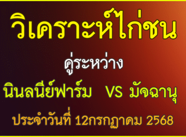 วิเคราะห์ไก่ชน คู่ระหว่างนินลนีย์ฟาร์ม สังกัด ศิรวิชญ์ฟาร์  VS มัจฉานุ สังกัด ส.อยู่เจริญชัย ประจำวันที่ 12 กรกฎาคม 2568
