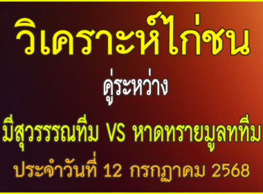 วิเคราะห์ไก่ชน คู่ระหว่าง มีสุวรรรณทีม   VS หาดทรายมูลททีม ประจำวันที่ 12 กรกฏาคม 2568