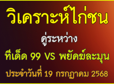 วิเคราะห์ไก่ชน คู่ระหว่าง ทีเด็ด 99 VS พยัคฆ์ละมุน ประจำวันที่ 19 กรกฎาคม 2568