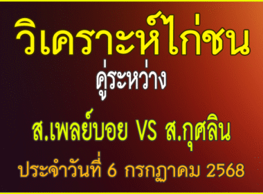 วิเคราะห์ไก่ชน คู่ระหว่าง ส.เพลย์บอย VS ส.กุศลิน  ประจำวันที่ 6 กรกกาคม 2568