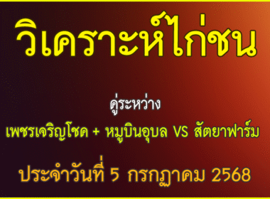 วิเคราะห์ไก่ชน คู่ระหว่าง เพชรเจริญโชค + หมูบินอุบล VS สัตยาฟาร์ม สังกัด พยัคฆ์กำนัน ไ ประจำวันที่ 5 กรกกาคม 2568