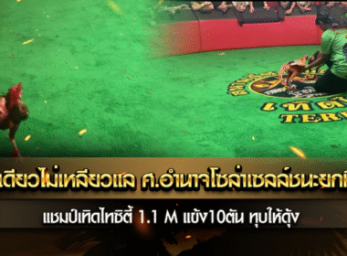 อันเดียวไม่เหลี่ยวแล ศ.อำนาจโซล่าาเซลล์ ชนะยกที่ 1