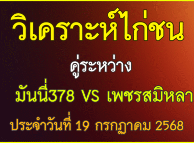 วิเคราะห์ไก่ชน คู่ระหว่าง มันนี่378  VS เพชรสมิหลา  ประจำวันที่ 19 กรกฎาคม 2568