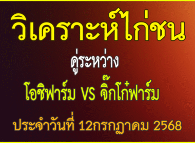 วิเคราะห์ไก่ชน คู่ระหว่าง โอชิฟาร์ม VS จิ๊กโก๋ฟาร์ม  ประจำวันที่ 12 กรกฎาคม 2568