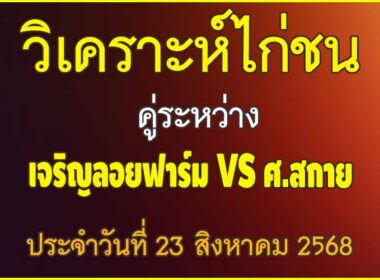 วิเคราะห์ไก่ชน คู่ระหว่าง เจริญลอยฟาร์ม VS ศ.สกาย ประจำวันที่ 23 สิงหาคม 2568