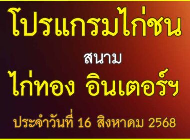 ณ สนามไก่ชน ไก่ทอง อินเตอรฯ ประจำวันที่ 16 สิงหาคม 2568
