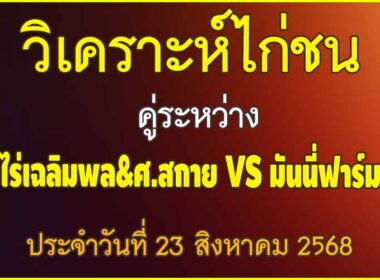 วิเคราะห์ไก่ชน คู่ระหว่าง ไร่เฉลิมพล&ศ.สกาย VS มันนี่ฟาร์ม ประจำวันที่ 23 สิงหาคม 2568