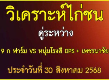 วิเคราะห์ไก่ชน คู่ระหว่าง 9 ก ฟาร์ม VS หนุ่มโรงสี DPS + เพชรมาชัย ประจำวันที่ 30 สิงหาคม
