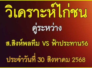 วิเคราะห์ไก่ชน คู่ระหว่าง ส.สิงห์พลทีม VS ฟ้าประทาน56 สังกัดธนากรฟาร์ม ประจำวันที่ 30 สิงหาคม