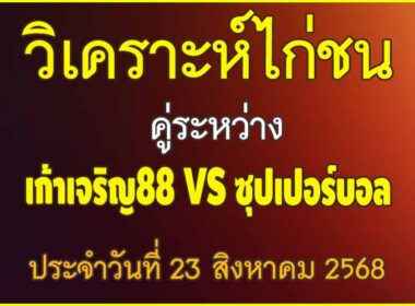 วิเคราะห์ไก่ชน คู่ระหว่าง เก้าเจริญ88 VS ซุปเปอร์บอล ประจำวันที่ 23 สิงหาคม 2568