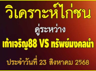 วิเคราะห์ไก่ชน คู่ระหว่าง เก้าเจริญ88 VS ทรัพย์มงคลนำ ประจำวันที่ 23 สิงหาคม 2568