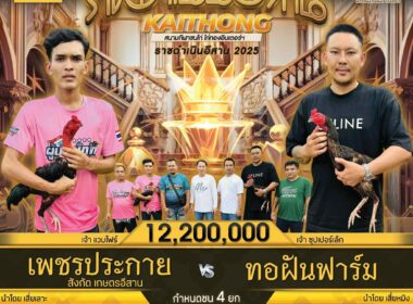 เพชรประทาย    🆚  ทอฝันฟาร์ม