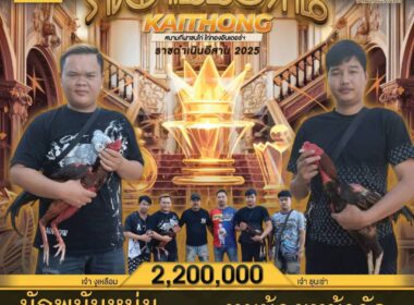 นักพนัuหนุ่ม    🆚  หมูน้อยหน้าวัด