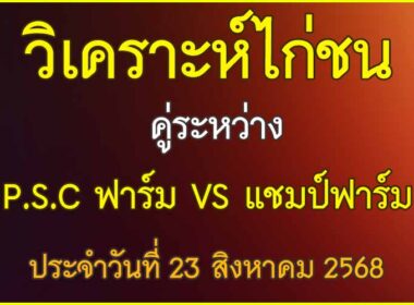 วิเคราะห์ไก่ชน คู่ระหว่าง P.S.C ฟาร์ม VS แชมป์ฟาร์ม ประจำวันที่ 23 สิงหาคม 2568