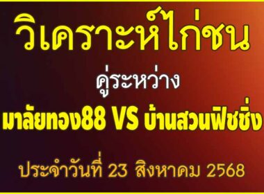 วิเคราะห์ไก่ชน คู่ระหว่าง มาลัยทอง88 VS บ้านสวนฟิชชิ่ง ประจำวันที่ 23 สิงหาคม 2568