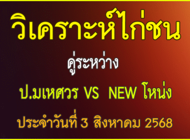 วิเคราะห์ไก่ชน คู่ระหว่าง ป.มเหศวร VS New โหน่ง ประจำวันที่ 3 สิงหาคม 2568