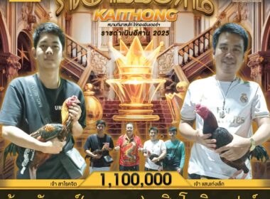 น้องซันเดย์(หมอบุญ) 🆚  สิงโตพิบูลฟาร์ม