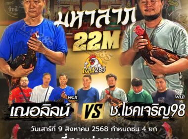 เฌอลินน์ฟาร์ม  🆚  ช.โชคเจริญ98ฟาร์ม
