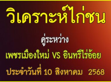 วิเคราะห์ไก่ชน คู่ระหว่าง เพชรเมืองใหม่ VS อินทรีไร่อ้อย ประจำวันที่ 10 สิงหาคม 2568