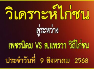 วิเคราะห์ไก่ชน คู่ระหว่าง เพชรนิคม VS ส.แพรวา วิถีไก่ชน ประจำวันที่ 9 สิงหาคม 2568