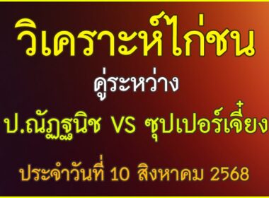 วิเคราะห์ไก่ชน คู่ระหว่าง ป.ณัฏฐนิช VS ซุปเปอร์เจี๋ยง ประจำวันที่ 10 สิงหาคม 2568