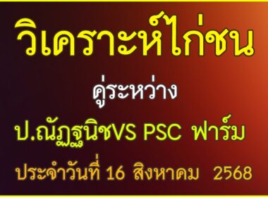 วิเคราะห์ไก่ชน คู่ระหว่าง ป.ณัฏฐนิช VS PSC ฟาร์ม ประจำวันที่ 16 สิงหาคม 2568