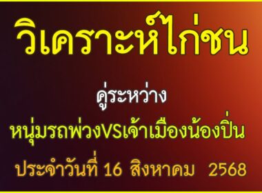 วิเคราะห์ไก่ชน คู่ระหว่าง หนุ่มรถพ่วง VS เจ้าเมืองน้องปิ่น ประจำวันที่ 16 สิงหาคม 2568