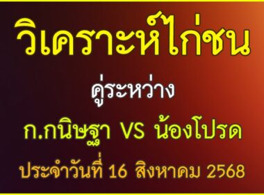 วิเคราะห์ไก่ชน คู่ระหว่าง ก.กนิษฐา VS น้องโปรด ประจำวันที่ 16 สิงหาคม 2568