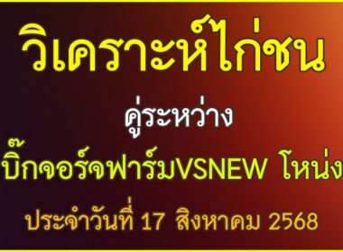 วิเคราะห์ไก่ชน คู่ระหว่าง บิ๊กจอร์จฟาร์ม VS NEW โหน่ง ประจำวันที่ 17 สิงหาคม 2568