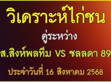 วิเคราะห์ไก่ชน คู่ระหว่าง ส.สิงห์พลทีม VS ชลลดา 89 ประจำวันที่ 16 สิงหาคม 2568