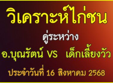 วิเคราะห์ไก่ชน คู่ระหว่าง อ.บุณรัตน์ VS เด็กเลี้ยงวัว ประจำวันที่ 16 สิงหาคม 2568