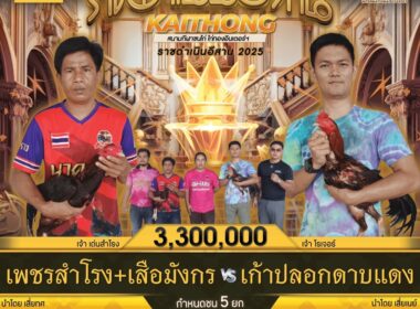 เพชรสำโรง+เสือมังกร   🆚  เก้าปลอกดาบแดง