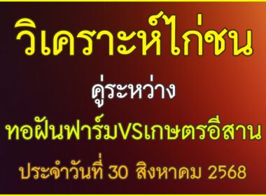 วิเคราะห์ไก่ชน คู่ระหว่าง ทอฝันฟาร์ม VS เกษตรอีสาน ประจำวันที่ 30 สิงหาคม