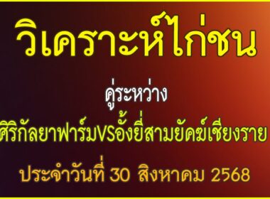 วิเคราะห์ไก่ชน คู่ระหว่าง ศิริกัลยาฟาร์ม VS อังหยี่สามพยัคฆ์เชียงราย ประจำวันที่ 30 สิงหาคม 2568