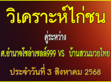 วิเคราะห์ไก่ชน คู่ระหว่าง ศ.อำนาจโซล่าร์เซลล์999 VS บ้านสวนมวยไทย ประจำวันที่ 3 สิงหาคม 2568