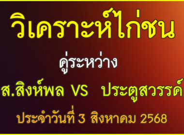 วิเคราะห์ไก่ชน คู่ระหว่าง ส.สิงห์พลทีม&สังเวียนฟาร์ม VS ประตูสวรรค์ ประจำวันที่ 3 สิงหาคม 2568