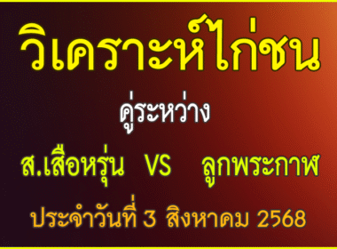 วิเคราะห์ไก่ชน คู่ระหว่าง ส.เสือหรุ่น VS ซุ้มลูกพระกาฬ ประจำวันที่ 3 สิงหาคม 2568