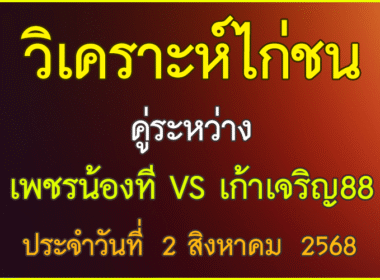 วิเคราะห์ไก่ชน คู่ระหว่าง เพชรน้องที VS เก้าเจริญ 88 ประจำวันที่ 2 สิงหาคม 2568