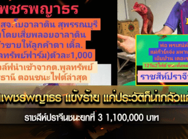 เจ้าเพชรพญาธร แข้งร้าย แค่ประวัติก็น่ากลัวแล้ว