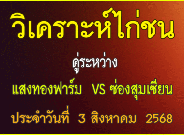 วิเคราะห์ไก่ชน คู่ระหว่าง แสงทองฟาร์ม VS ซ่อง สุม เซียน ประจำวันที่ 3 สิงหาคม 2568